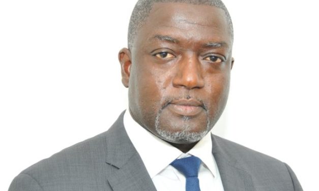 FONSIS : Pape Demba Diallo, nouveau directeur général