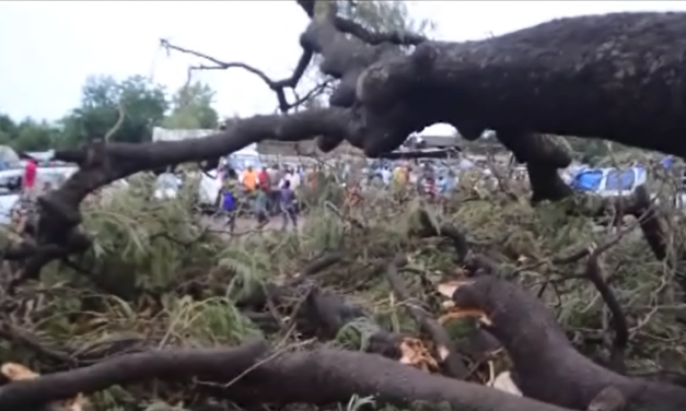 CHUTE D'UN ARBRE A KEDOUGOU - Deux morts et trois blessés graves