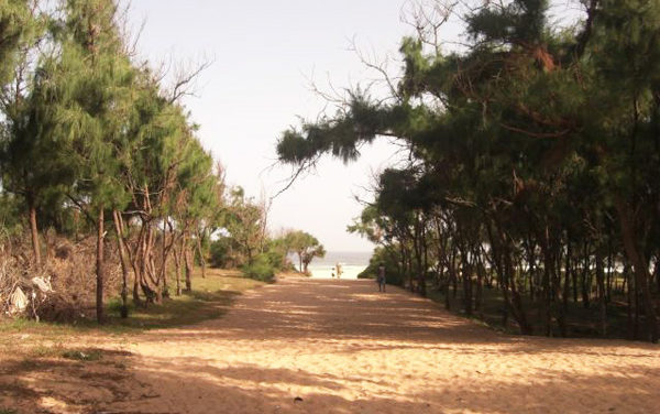 LITTORAL DE GUEDIAWAYE – Les jeunes révoltés après l’octroi de 8 ha à des Chinois