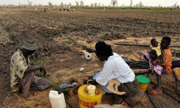 COVID-19 - Les agences humanitaires débloquent plus de 6,4 milliards pour le monde rural