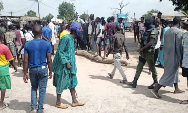 UNE FILLETTE DE 7 ANS TUEE PAR UN CAMION MALIEN - La population manifeste