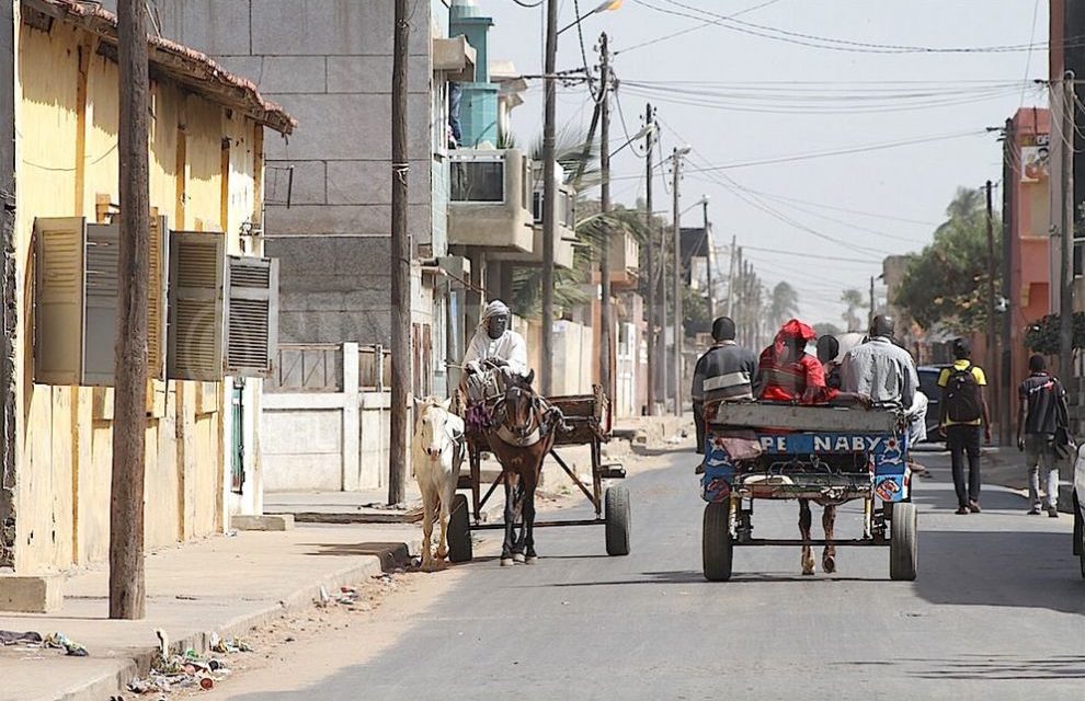 CONQUETE DE LA VILLE DE RUFISQUE - Ismaëla Madior Fall et Souleymane Ndoye, la guerre totale !