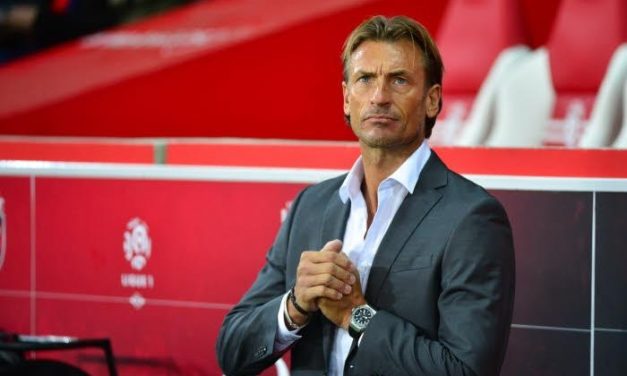 HERVÉ RENARD - "Le Sénégal peut aller loin dans ce Mondial"