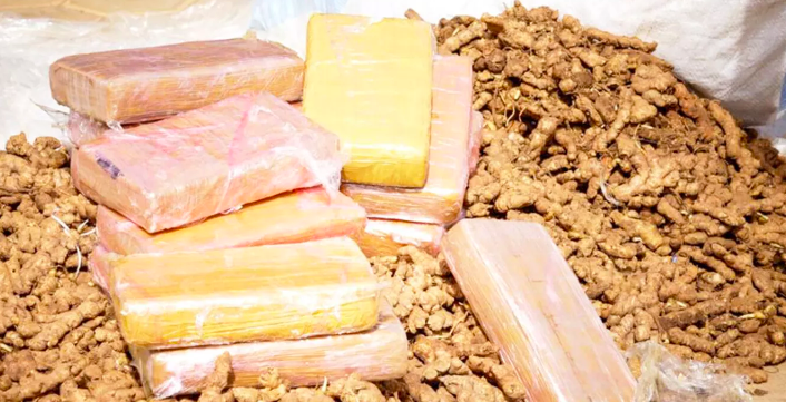 AIBD - 20 kilos de cocaïne d'une contrevaleur de 1,6 milliard de francs CFA saisis, quatre personnes arrêtées