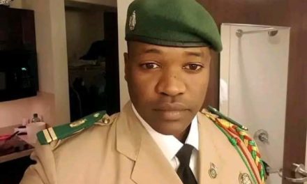 GUINÉE - Le fils de Cellou Dalein Diallo radié des effectifs de l’armée