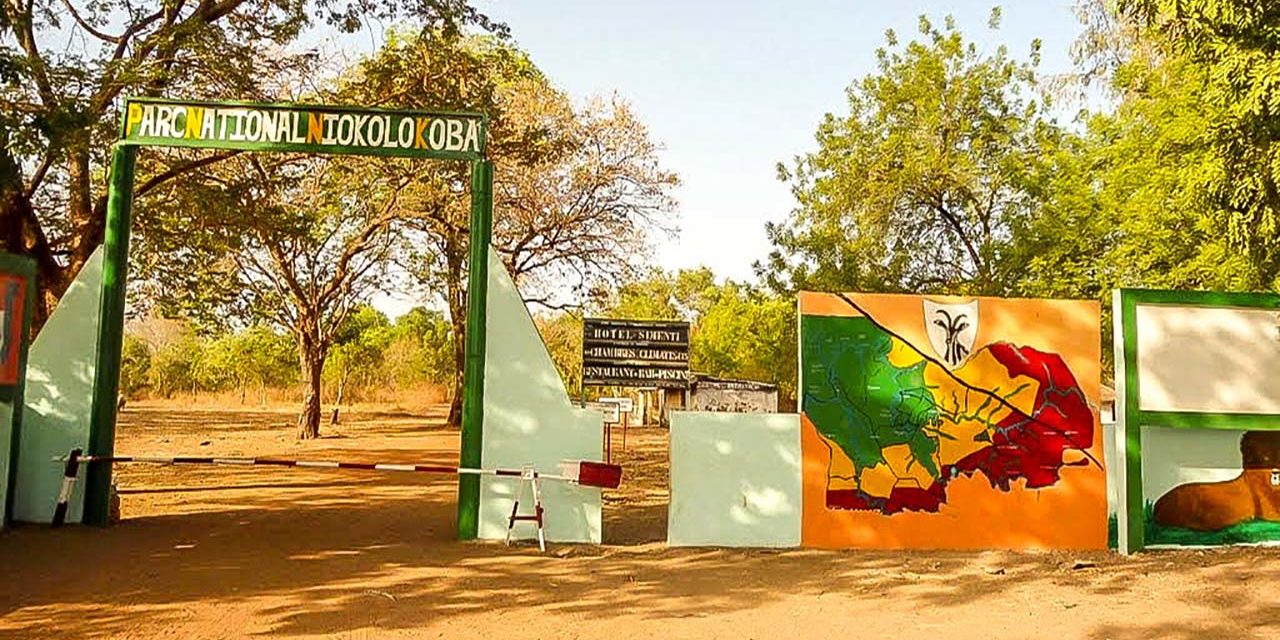 PATRIMOINE MONDIAL EN PÉRIL - Le Parc national du Niokolo‐Koba retiré de la liste rouge de l’Unesco