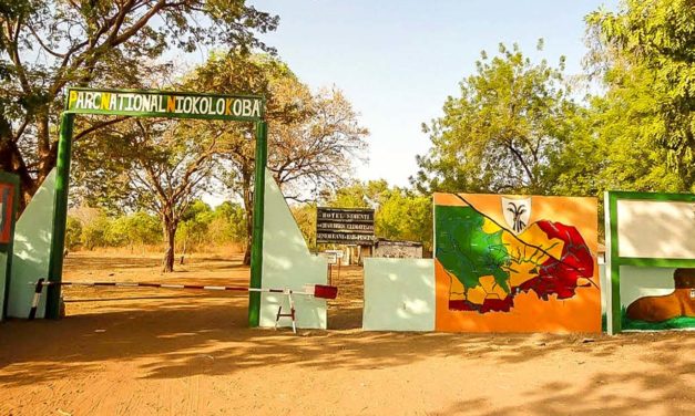 PATRIMOINE MONDIAL EN PÉRIL - Le Parc national du Niokolo‐Koba retiré de la liste rouge de l’Unesco