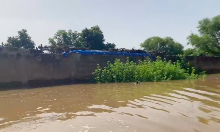 BAKEL - Plusieurs villages envahis par les eaux du fleuve Sénégal et de la Falémé