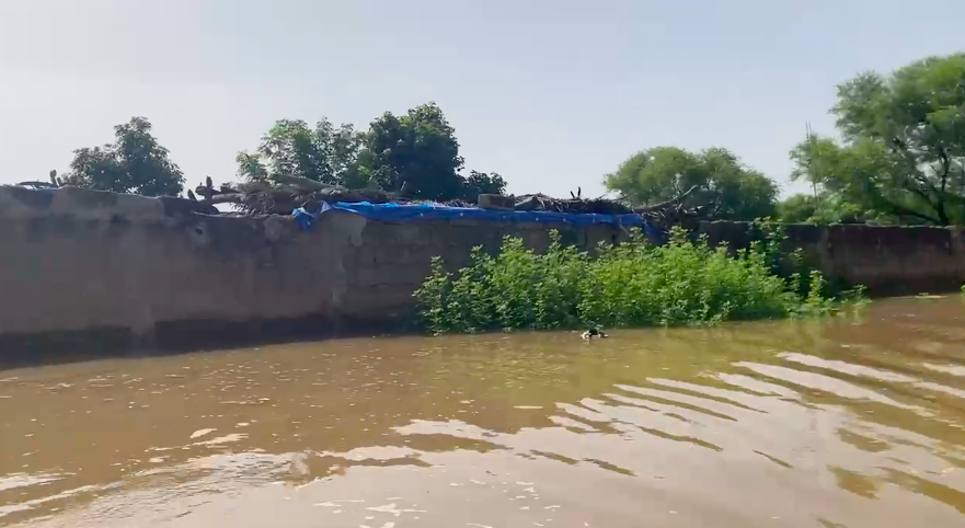 BAKEL - Plusieurs villages envahis par les eaux du fleuve Sénégal et de la Falémé