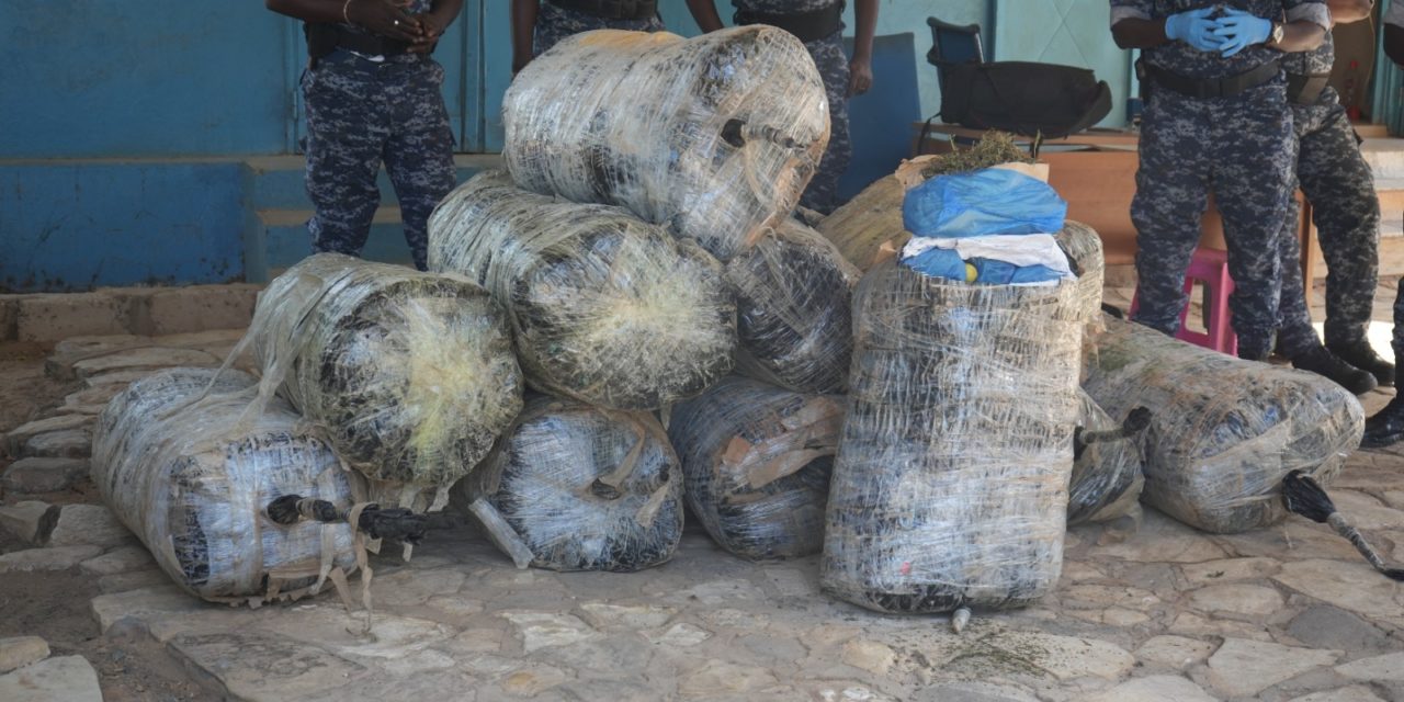 PLAGE DE THIAROYE -  480 kg de yamba saisis par la gendarmerie 