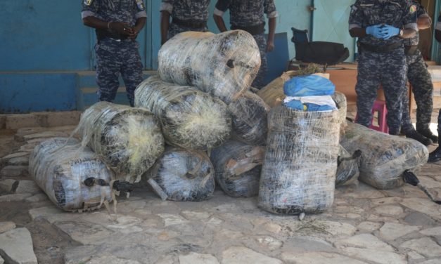 PLAGE DE THIAROYE -  480 kg de yamba saisis par la gendarmerie 