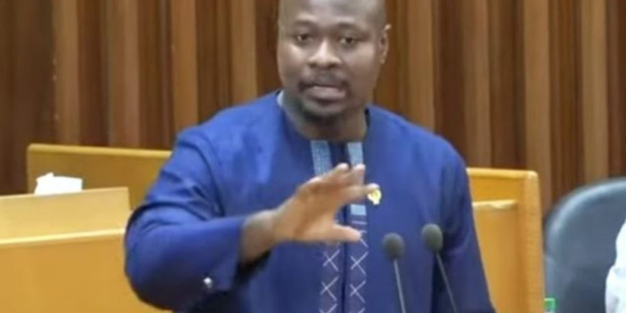 PARLEMENT DE LA CEDEAO - Le Sénégal désigne ses 6 représentants, Guy Marius Sagna rempile